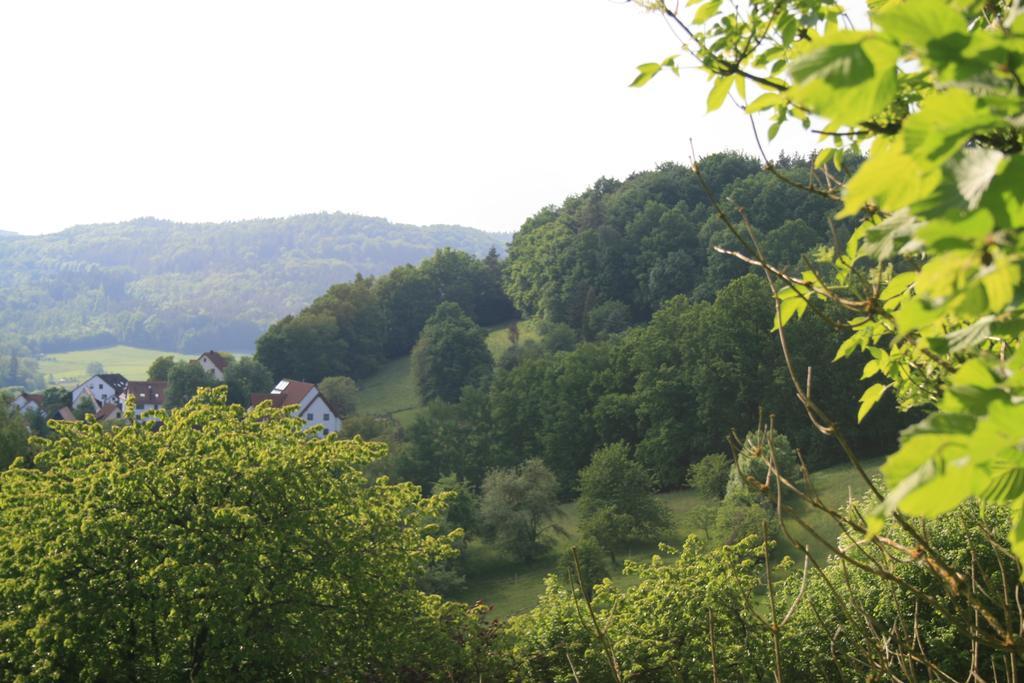Landidyll Hotel Zum Alten Schloss Kirchensittenbach Ruang foto